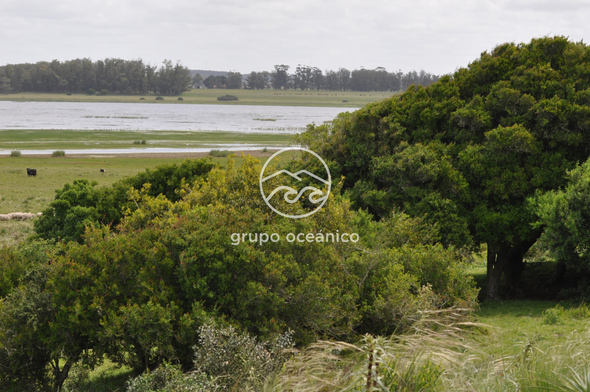 Campo Ref.89 - Campo 280 há sobre Laguna Garzón Área Protegida
