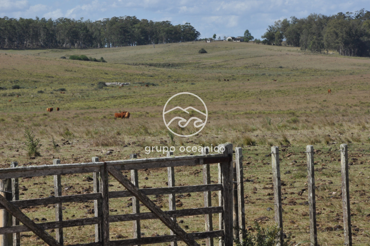 Campo Ref.44 - Campo con instalaciones y casas en Ruta 9 y camino Anastasio