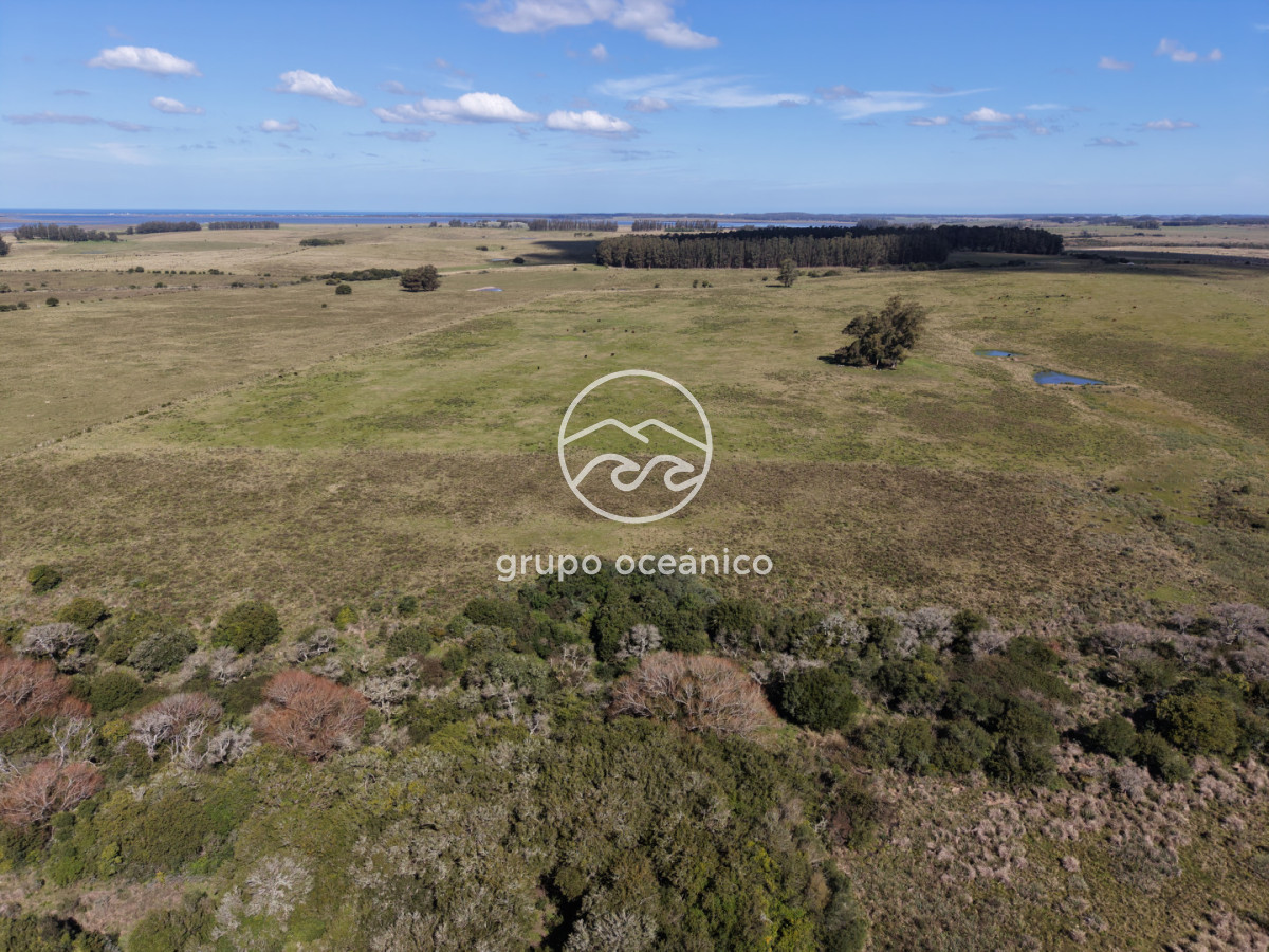 Campo Ref.2 - Campo de 50 hectáreas en Rincón de José Ignacio