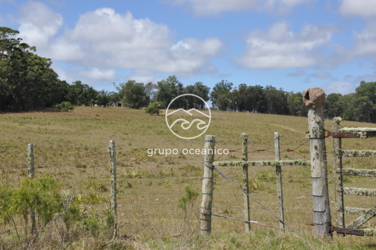 Campo Ref.36 - Campo en Camino las Garzas y Ruta 9  360 Ha ideal para fraccionamiento de chacras