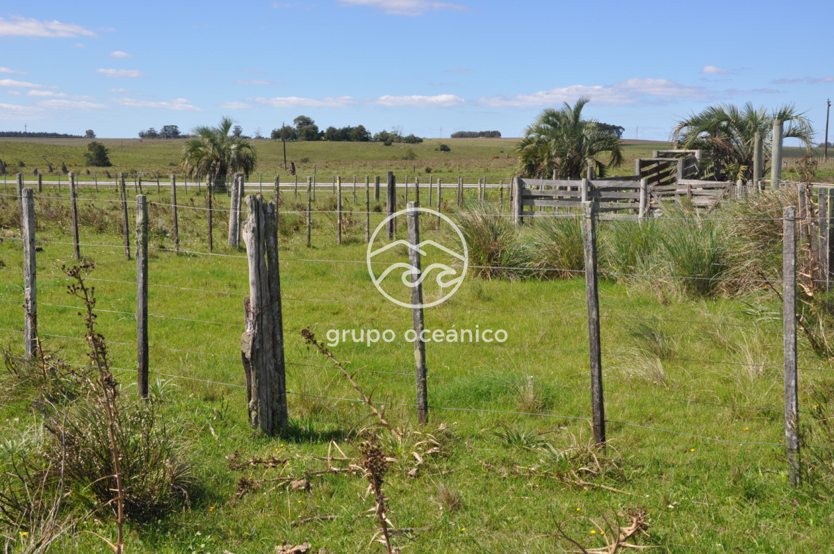 Campo Ref.53 - Campo Rocha Ruta 9 Km 196