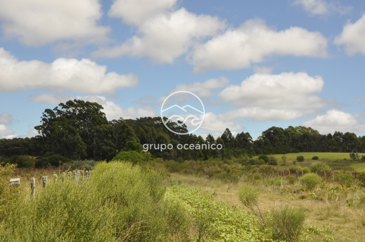 Campo Ref.36 - Campo en Camino las Garzas y Ruta 9  360 Ha ideal para fraccionamiento de chacras