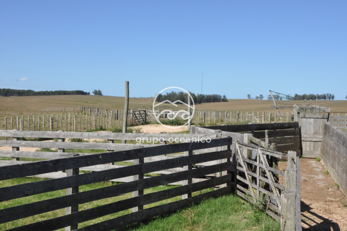 Campo Ref.44 - Campo con instalaciones y casas en Ruta 9 y camino Anastasio