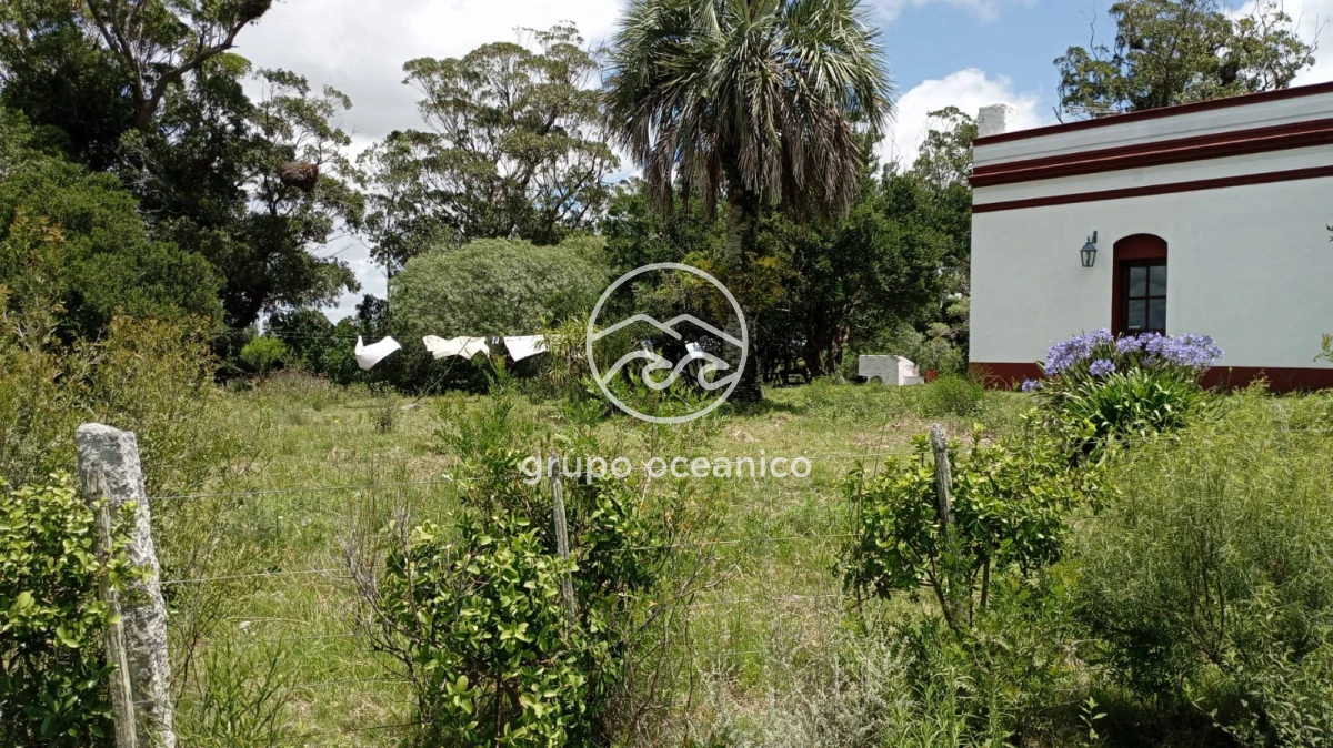 Campo Ref.8 - Campo 77 hectáreas en Ruta 39