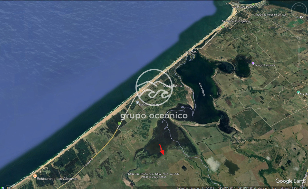 Campo Ref.89 - Campo 280 há sobre Laguna Garzón Área Protegida