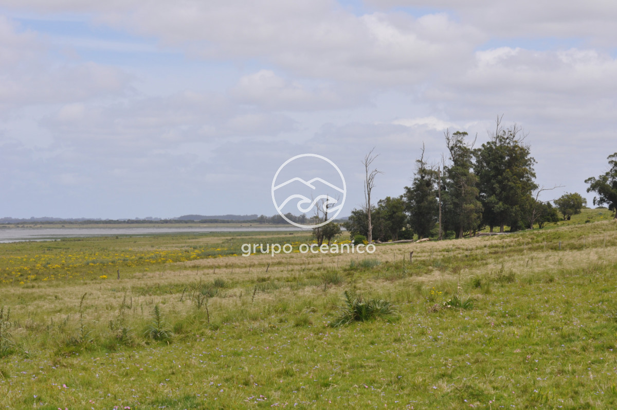 Campo Ref.89 - Campo 280 há sobre Laguna Garzón Área Protegida