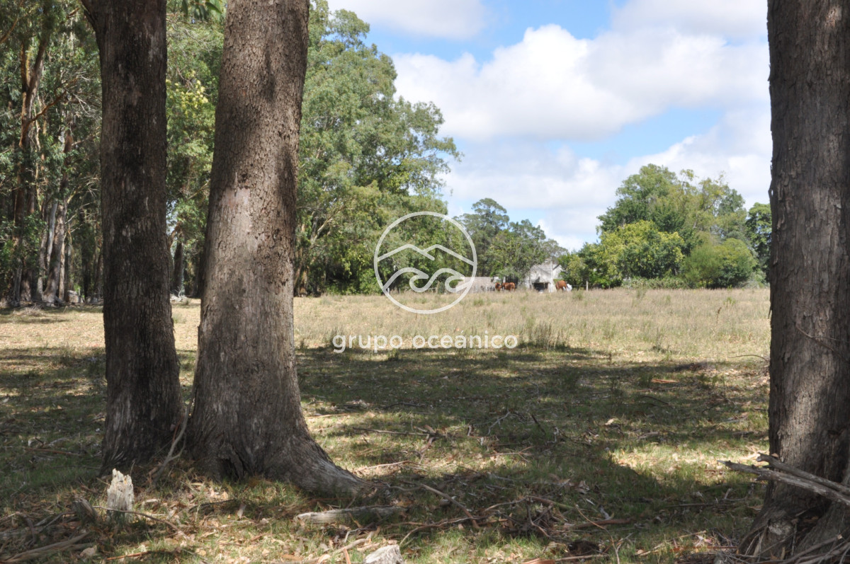 Campo Ref.36 - Campo en Camino las Garzas y Ruta 9  360 Ha ideal para fraccionamiento de chacras