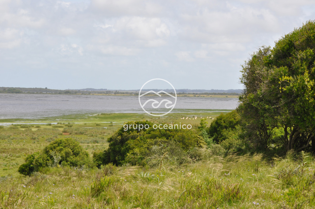 Campo Ref.89 - Campo 280 há sobre Laguna Garzón Área Protegida