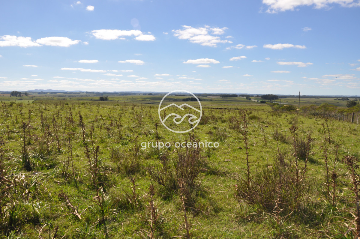 Campo Ref.53 - Campo Rocha Ruta 9 Km 196