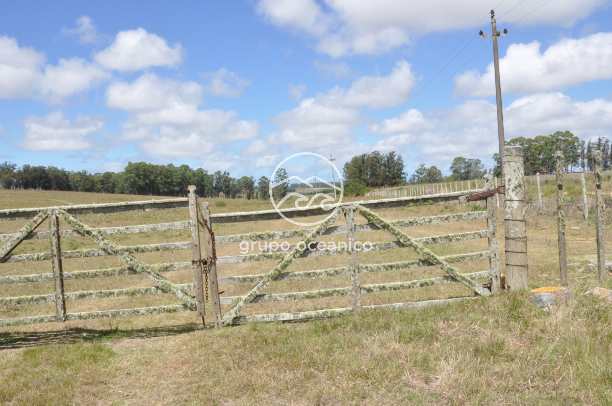 Campo Ref.36 - Campo en Camino las Garzas y Ruta 9  360 Ha ideal para fraccionamiento de chacras
