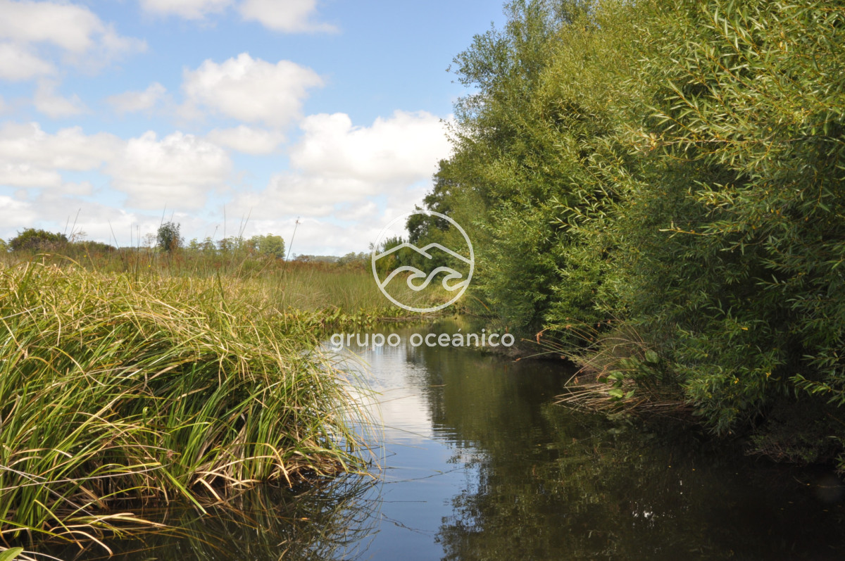 Campo Ref.36 - Campo en Camino las Garzas y Ruta 9  360 Ha ideal para fraccionamiento de chacras