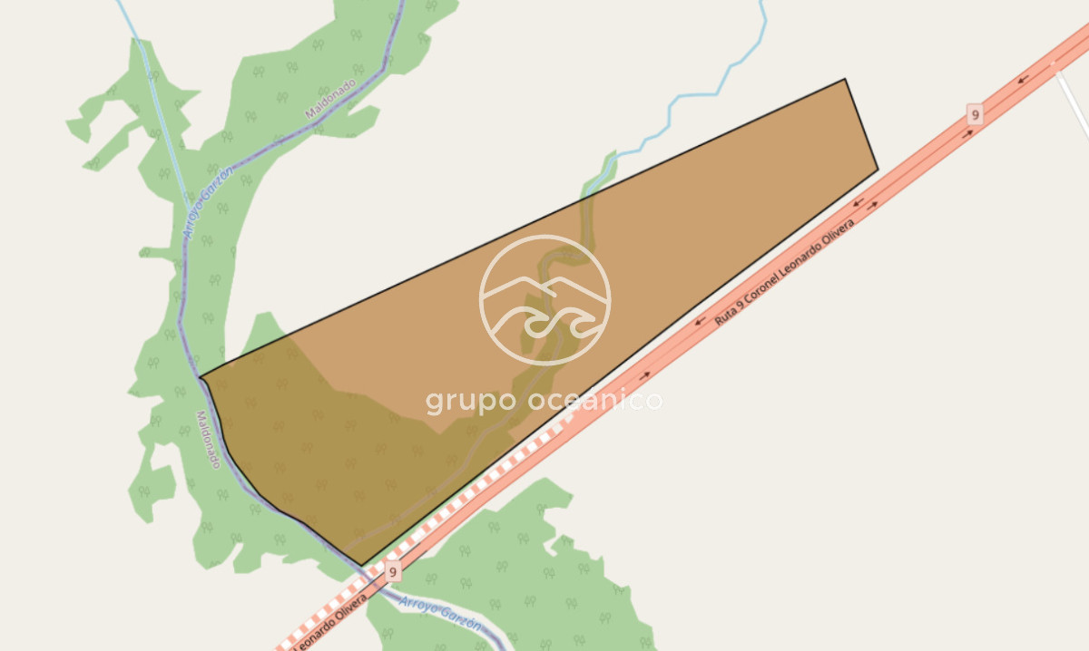 Campo Ref.11 - Ruta 9 y Arroyo Garzón 36.9 Hectáreas con costa 