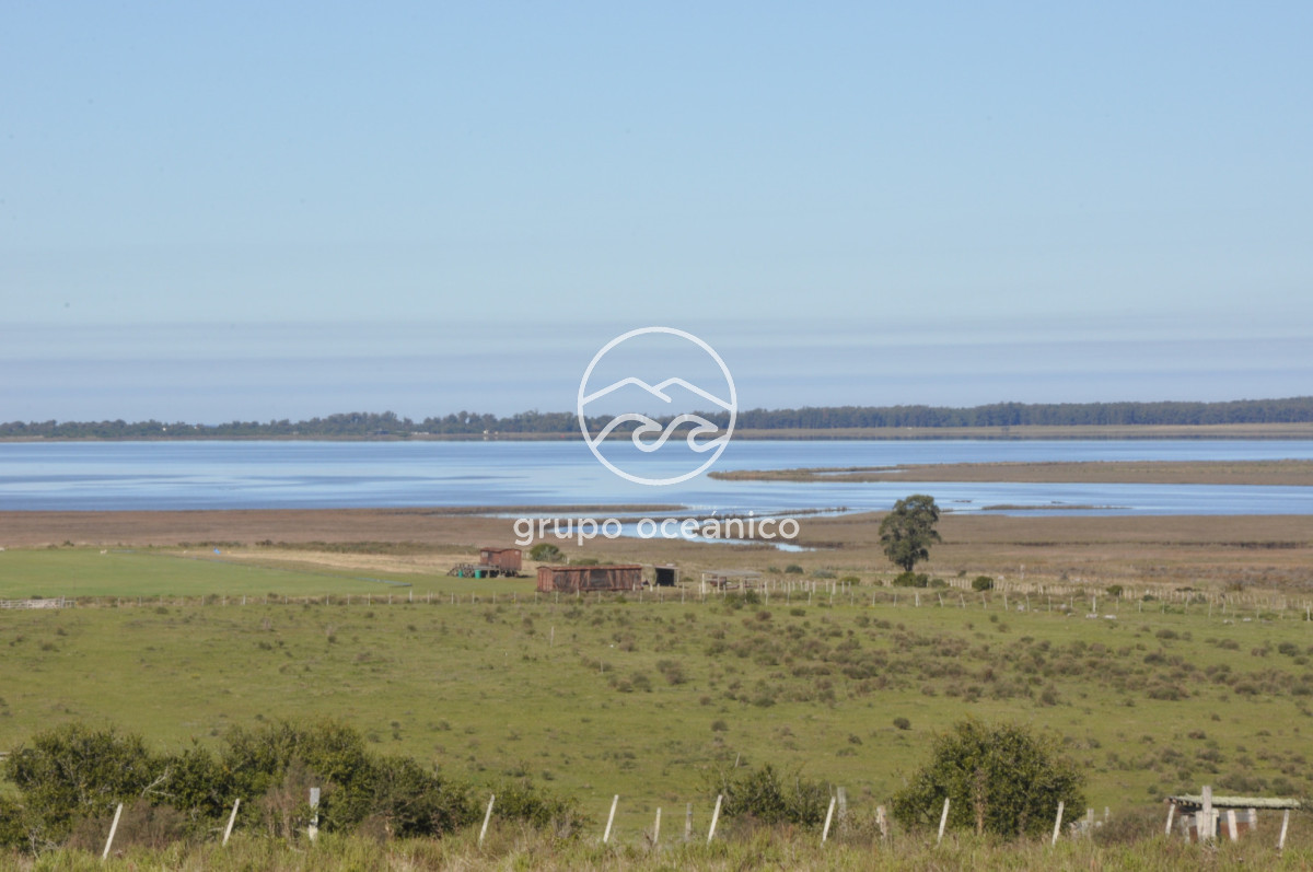 Campo Ref.88 - Campo 91 há sobre Laguna de José Ignacio