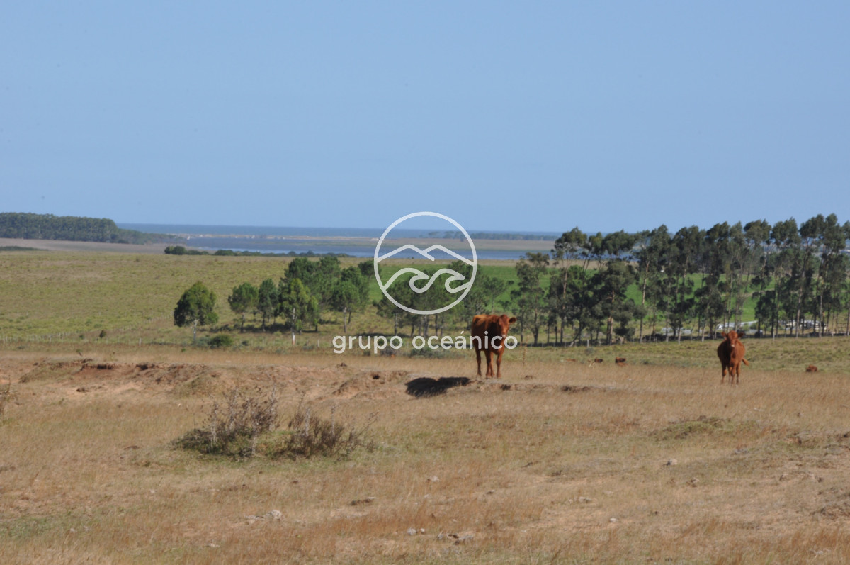 Campo Ref.44 - Campo con instalaciones y casas en Ruta 9 y camino Anastasio