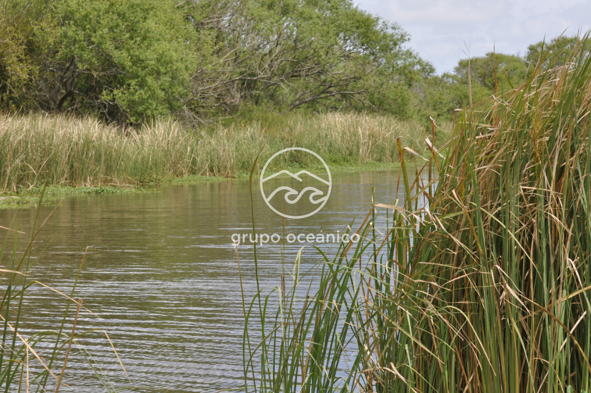 Campo Ref.89 - Campo 280 há sobre Laguna Garzón Área Protegida