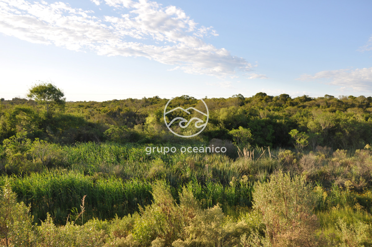 Campo Ref.11 - Ruta 9 y Arroyo Garzón 36.9 Hectáreas con costa 