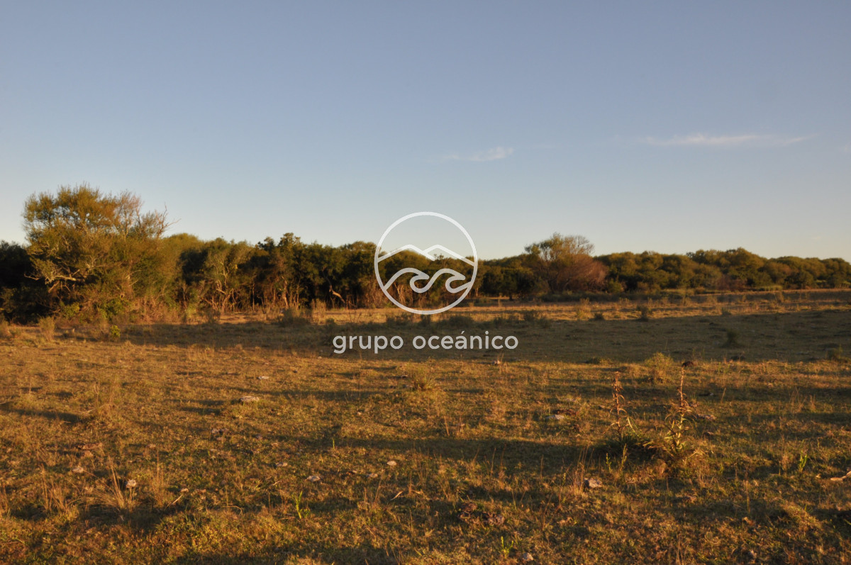 Campo Ref.49 - Campo 9,5 Há en paso de Tigre y Ruta 9