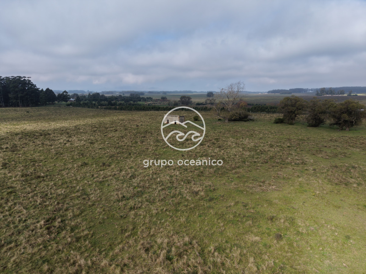Campo Ref.63 - Campo sobre Ruta 104 a metros del MACA