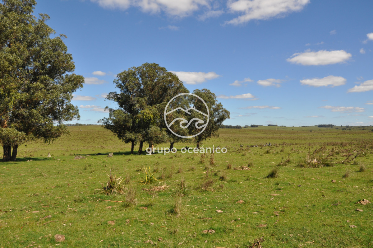 Campo Ref.53 - Campo Rocha Ruta 9 Km 196