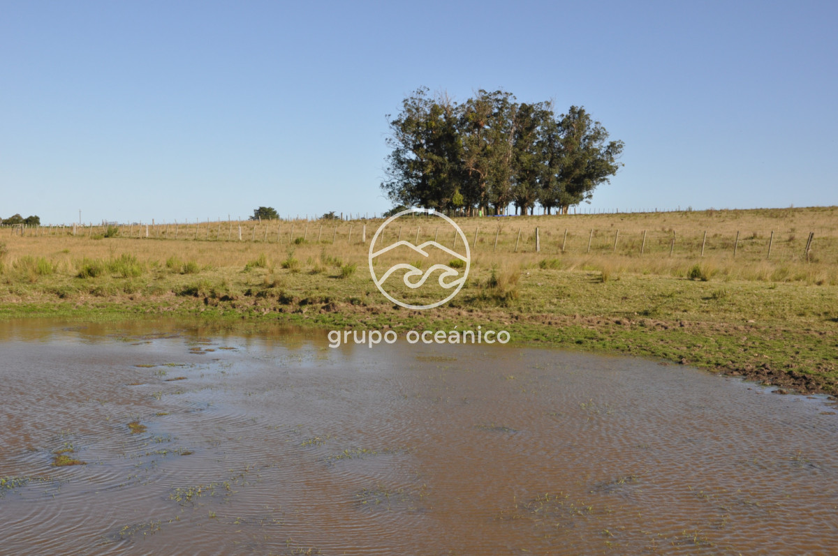 Campo Ref.18 - Campo en camino vecinal y Ruta 9 Zona Bodega Oceánica