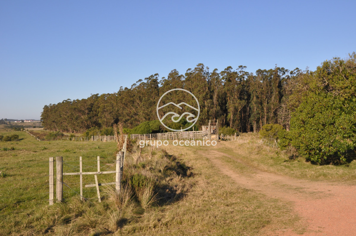 Campo Ref.2 - Campo de 50 hectáreas en Rincón de José Ignacio