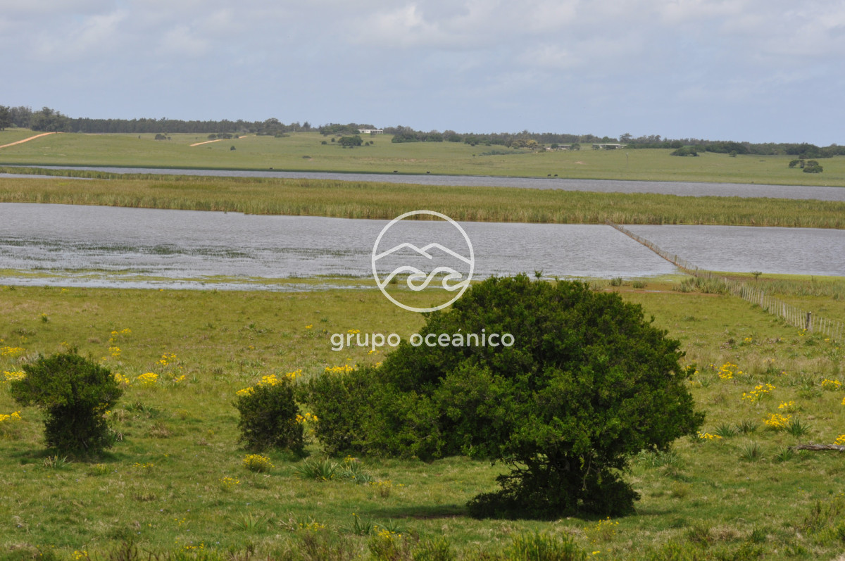 Campo Ref.89 - Campo 280 há sobre Laguna Garzón Área Protegida