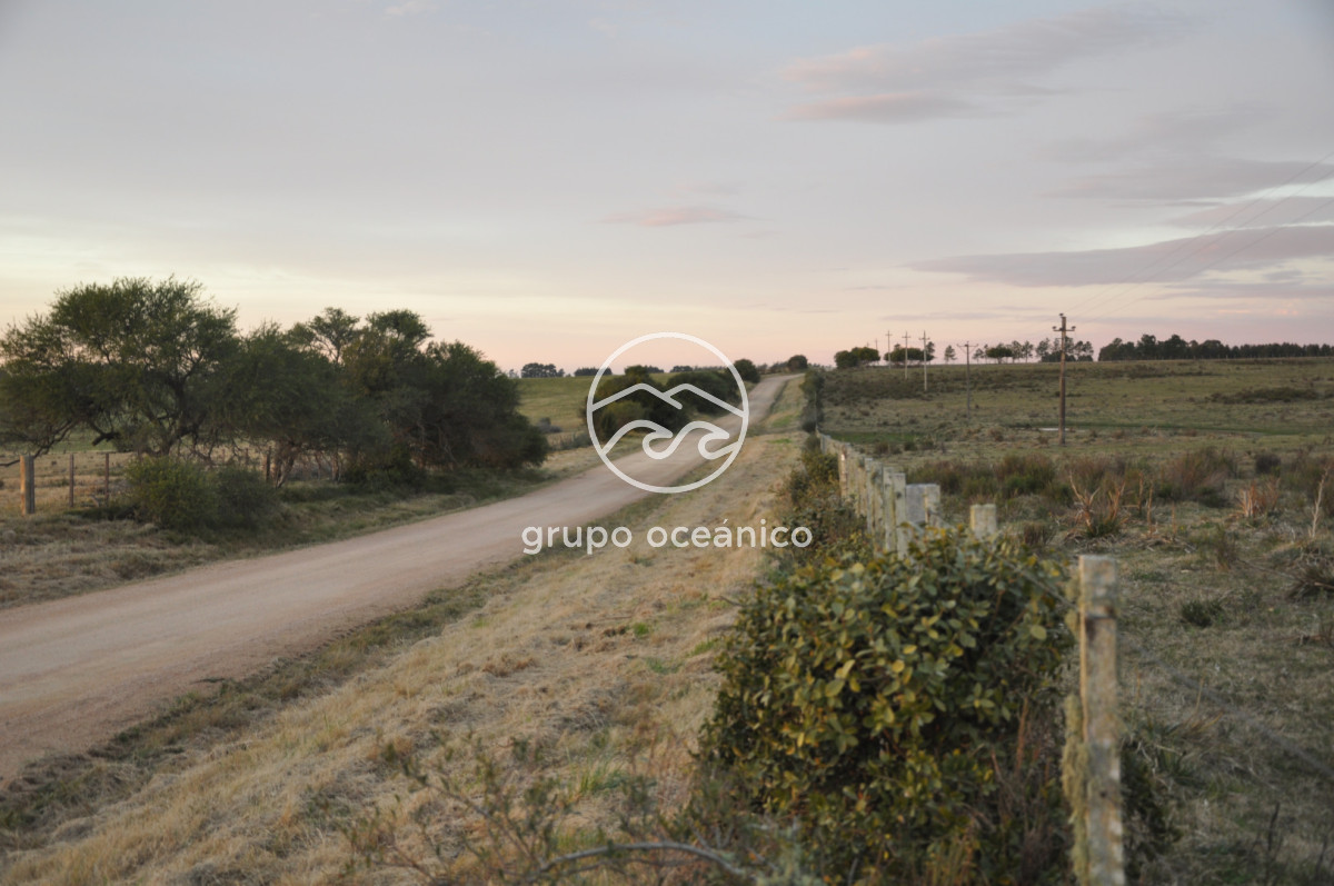 Campo Ref.3 - Campo de 39 hectáreas en Rincón de José Ignacio