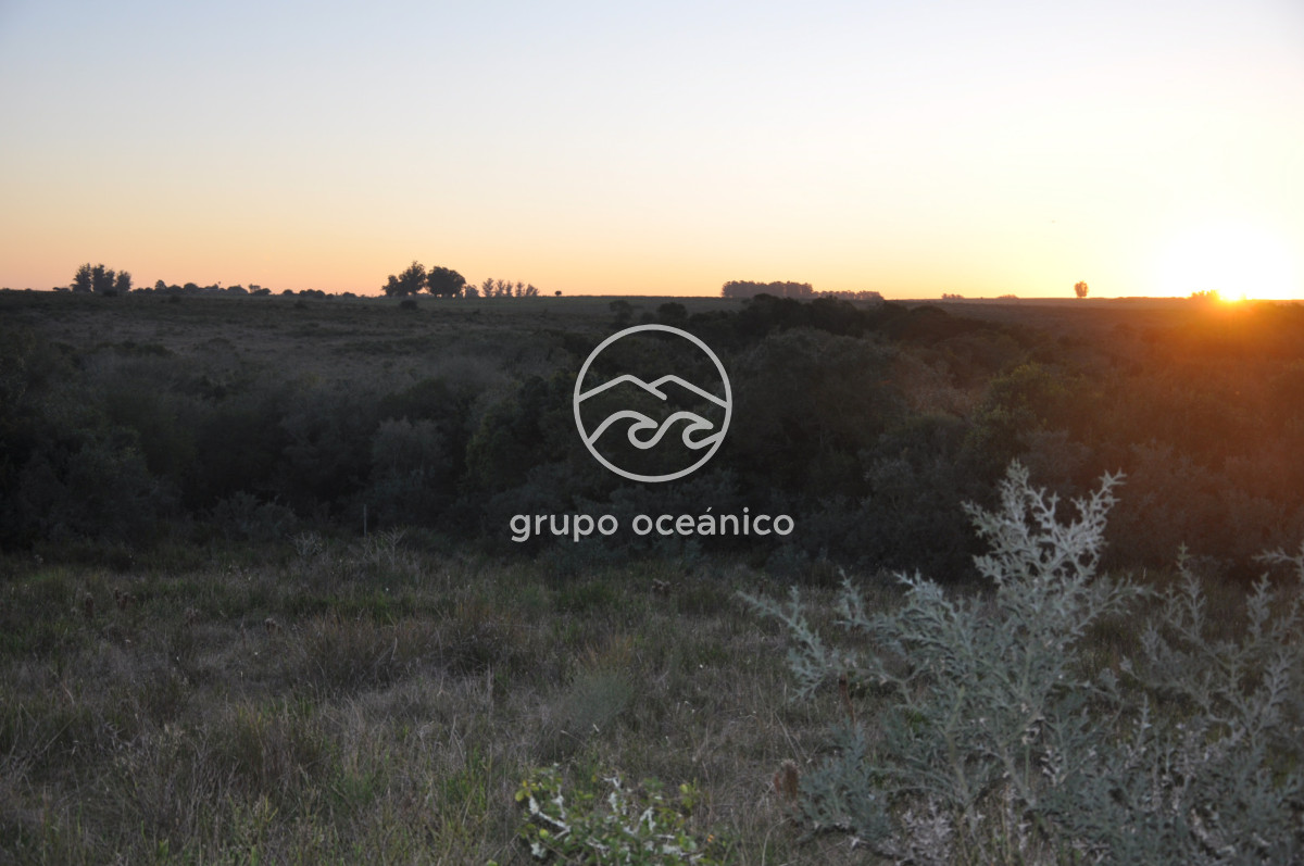 Campo Ref.4 - P 20673 Ruta 9 José Ignacio