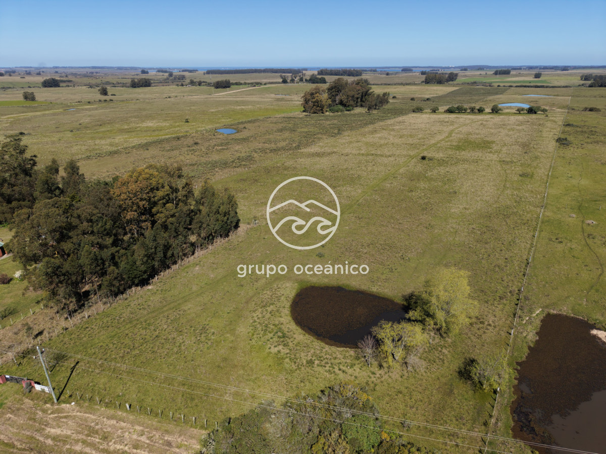 Campo Ref.56 - Campo 10 Há con acceso desde Ruta 9 Rincón de José Ignacio