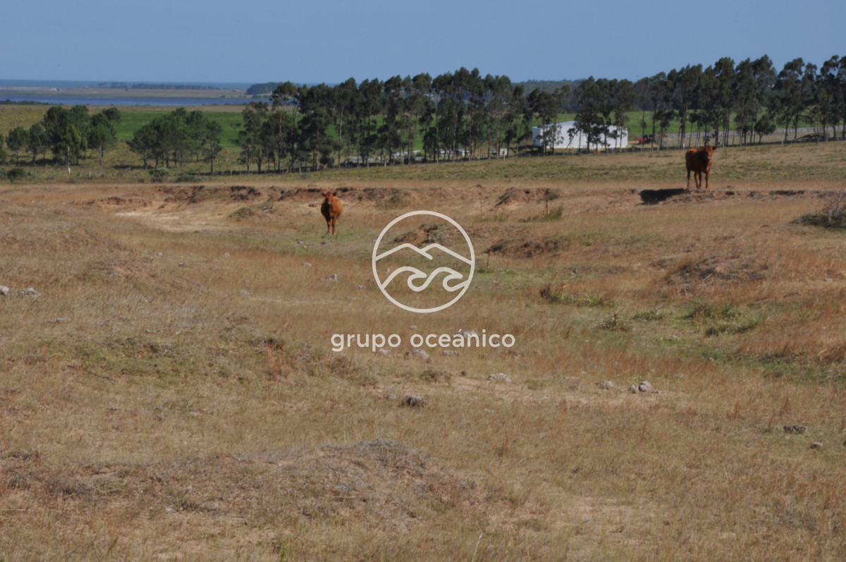 Campo Ref.44 - Campo con instalaciones y casas en Ruta 9 y camino Anastasio