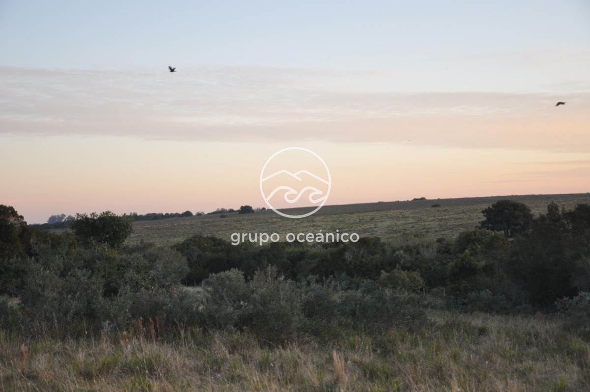 Campo Ref.4 - P 20673 Ruta 9 José Ignacio