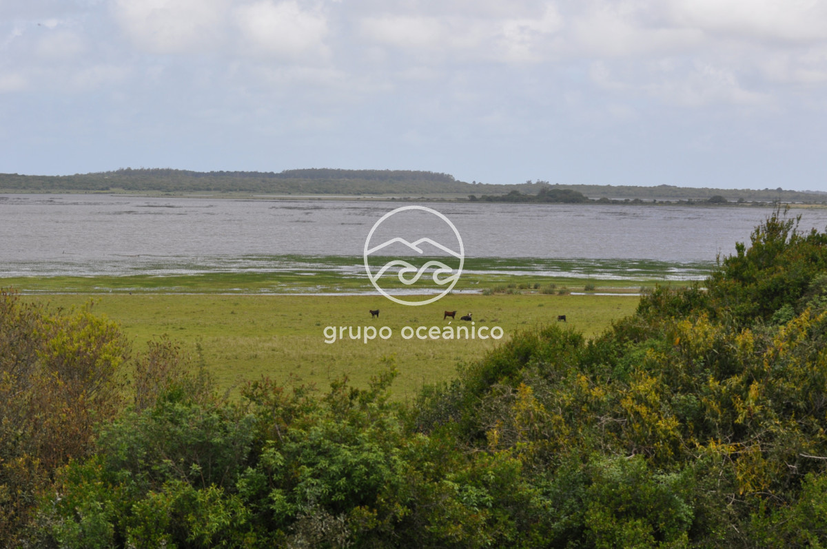 Campo Ref.89 - Campo 280 há sobre Laguna Garzón Área Protegida