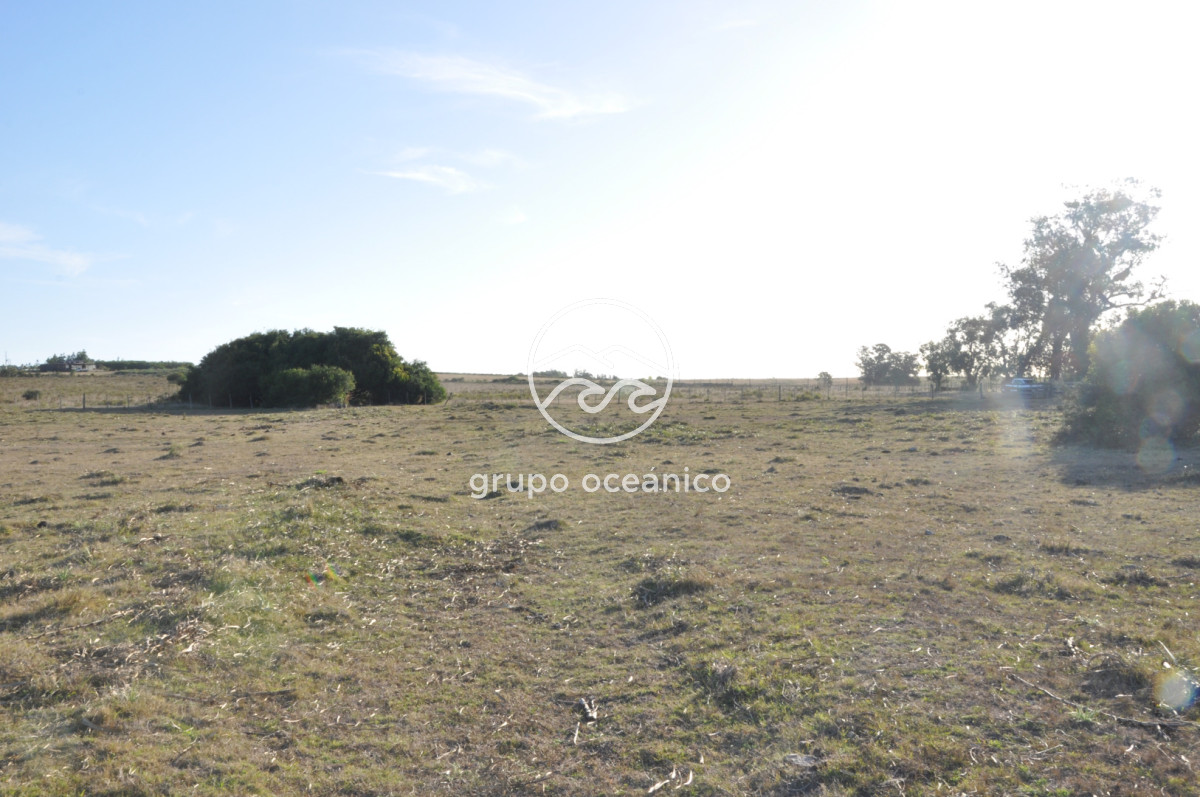 Campo Ref.49 - Campo 9,5 Há en paso de Tigre y Ruta 9