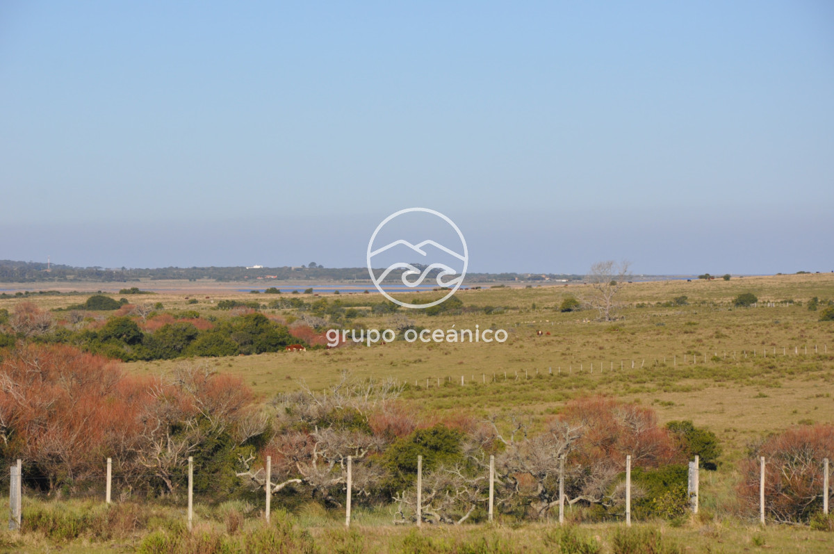 Campo Ref.2 - Campo de 50 hectáreas en Rincón de José Ignacio