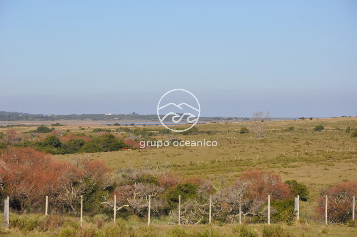 Campo Ref.2 - Campo de 50 hectáreas en Rincón de José Ignacio