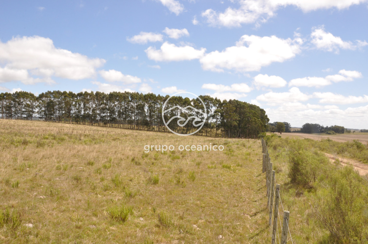 Campo Ref.36 - Campo en Camino las Garzas y Ruta 9  360 Ha ideal para fraccionamiento de chacras