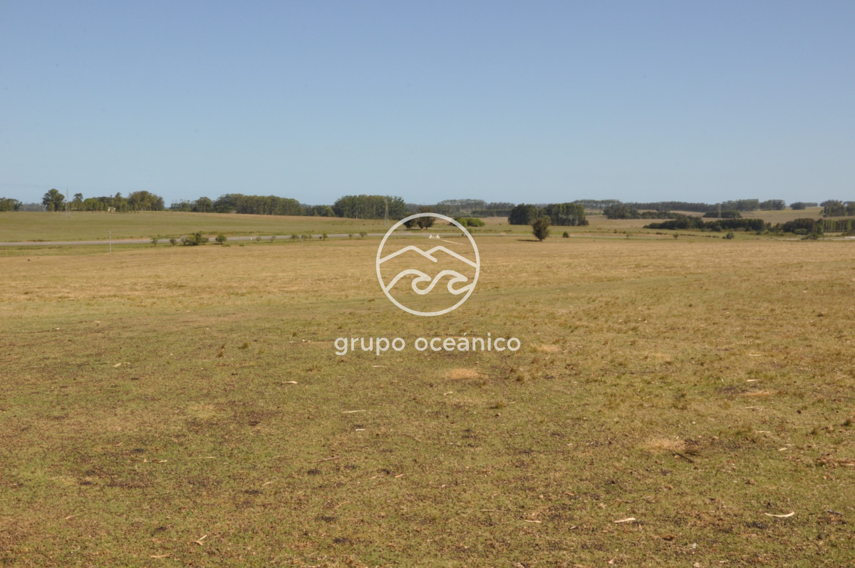 Campo Ref.44 - Campo con instalaciones y casas en Ruta 9 y camino Anastasio