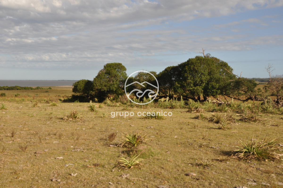 Campo Ref.41 - Campo a orillas de la Laguna de José Ignacio