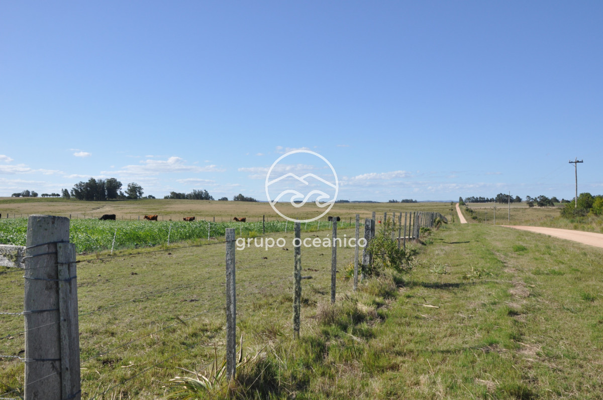 Campo Ref.18 - Campo en camino vecinal y Ruta 9 Zona Bodega Oceánica