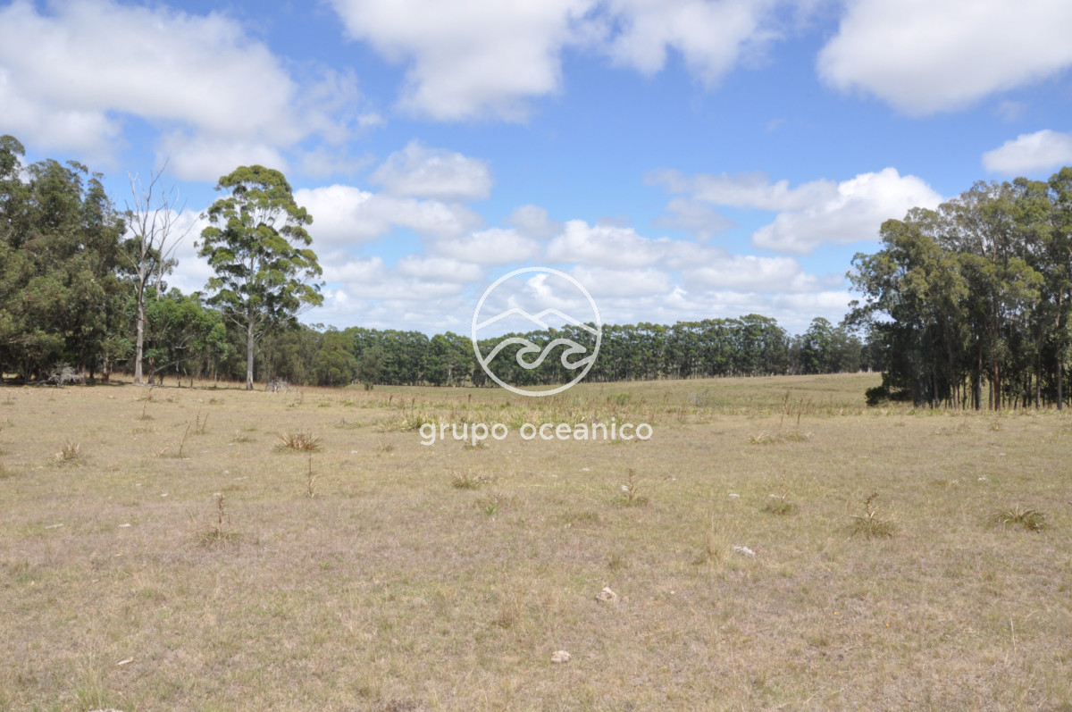 Campo Ref.36 - Campo en Camino las Garzas y Ruta 9  360 Ha ideal para fraccionamiento de chacras