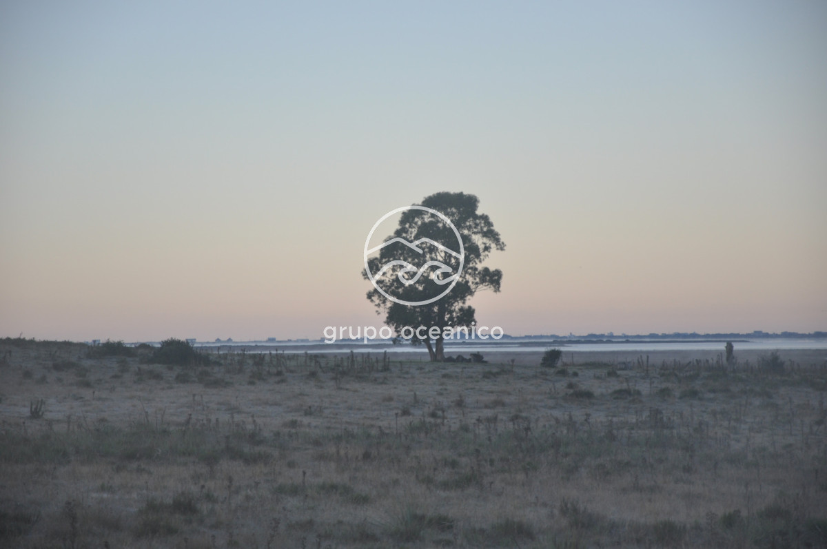 Campo Ref.88 - Campo 91 há sobre Laguna de José Ignacio