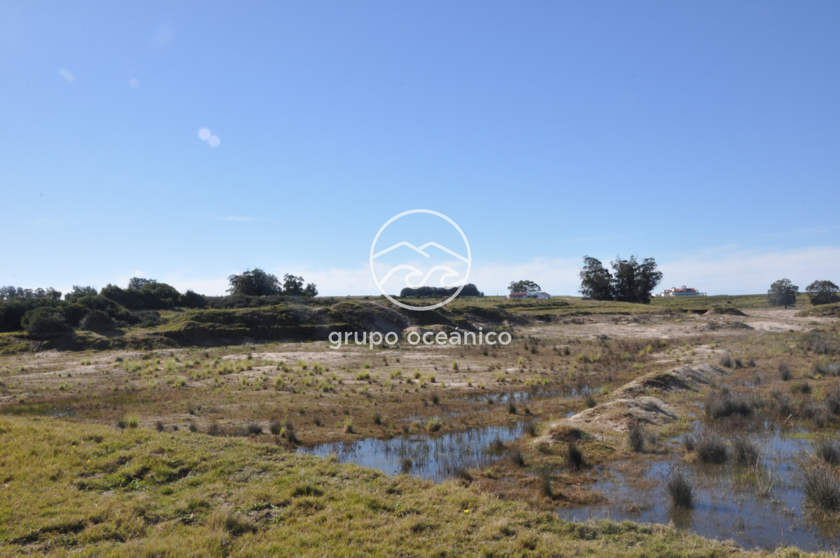 Campo Ref.88 - Campo 91 há sobre Laguna de José Ignacio