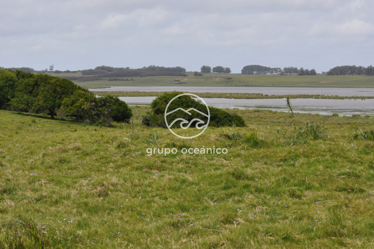 Campo Ref.89 - Campo 280 há sobre Laguna Garzón Área Protegida