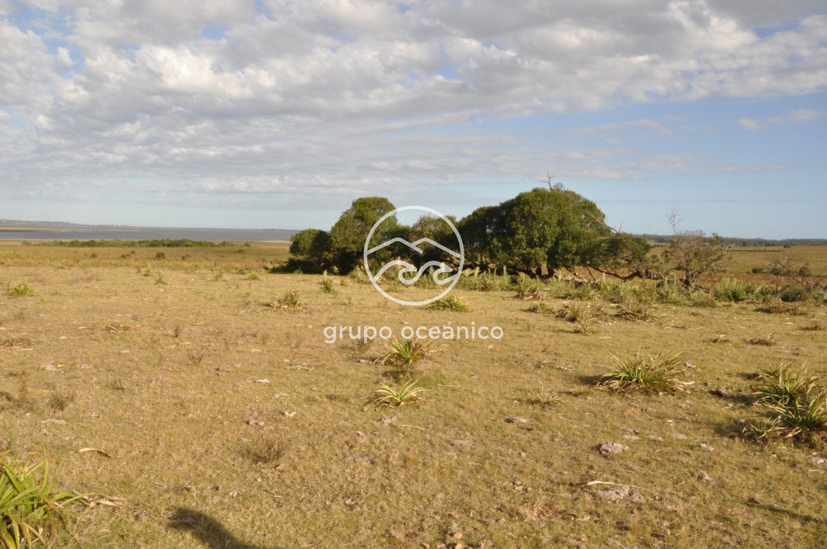 Campo Ref.41 - Campo a orillas de la Laguna de José Ignacio
