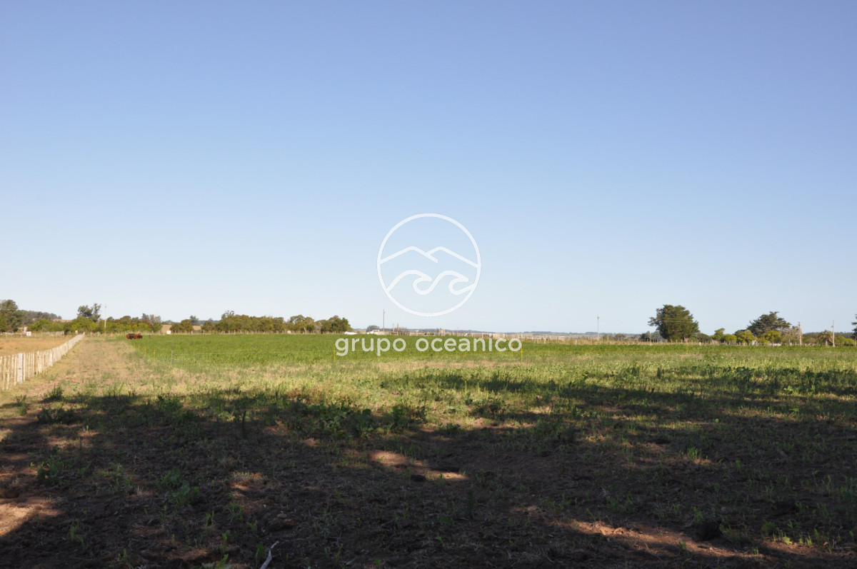 Campo Ref.18 - Campo en camino vecinal y Ruta 9 Zona Bodega Oceánica