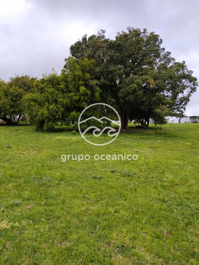 Campo Ref.92 - Campo 4 +3 há Paso de la Cantera 