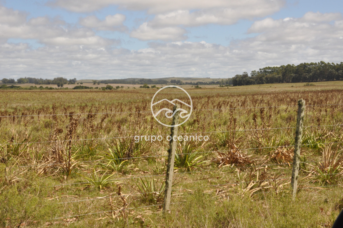 Campo Ref.36 - Campo en Camino las Garzas y Ruta 9  360 Ha ideal para fraccionamiento de chacras