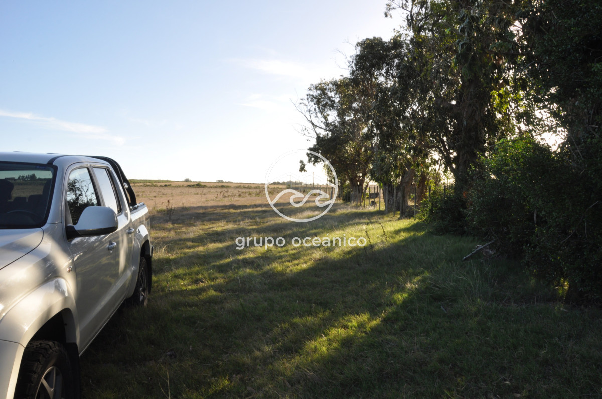 Campo Ref.49 - Campo 9,5 Há en paso de Tigre y Ruta 9