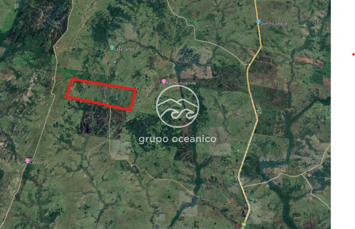 Campo Ref.8 - Campo 77 hectáreas en Ruta 39