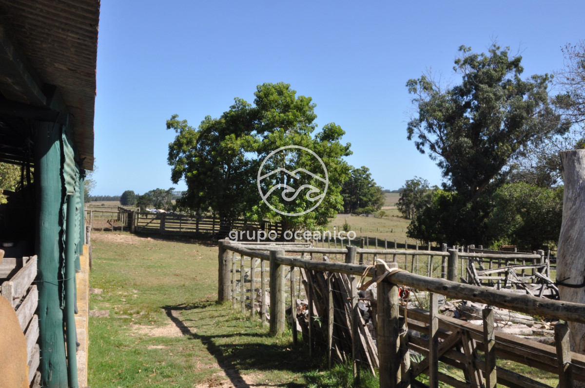 Campo Ref.44 - Campo con instalaciones y casas en Ruta 9 y camino Anastasio